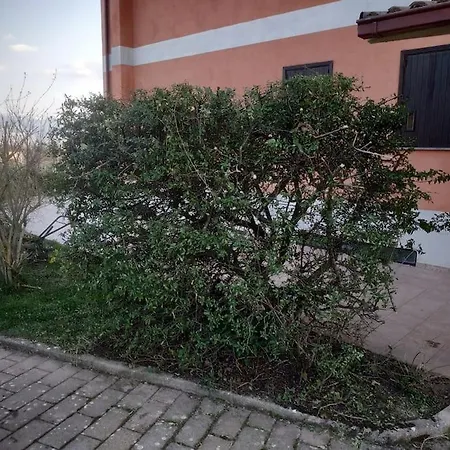 Casavacanzasotaccio *